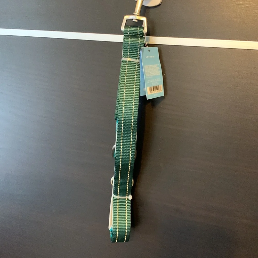 LEGO LIMITED EDITION Colorblock Dog Leash in Green